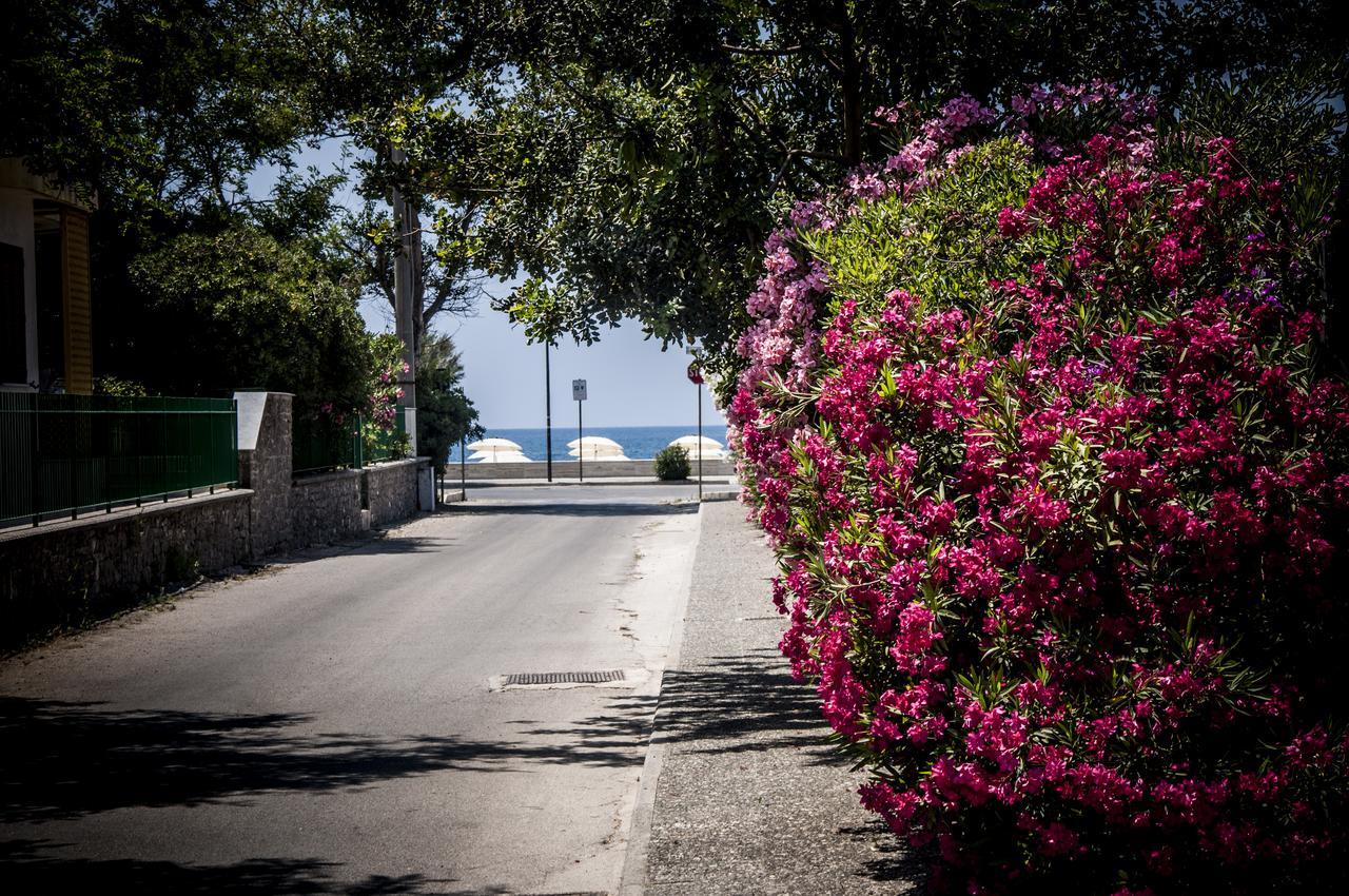 Oliveto A Mare - & * Ascea