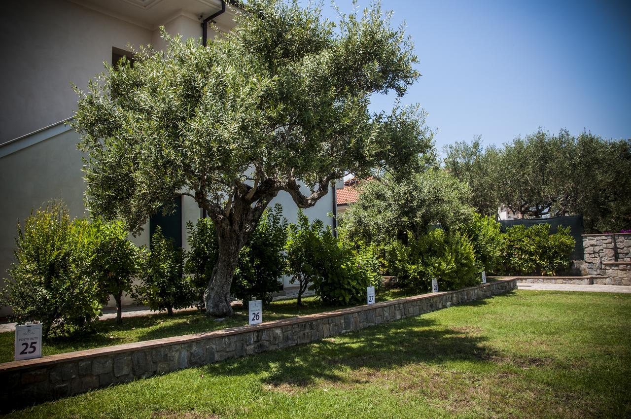 Oliveto A Mare - & *